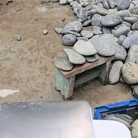 玉书*藏玉药王石原石大手把件一个