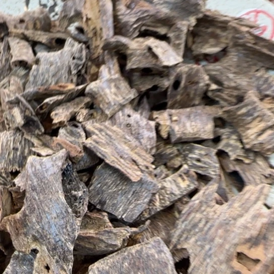 沉香摆件海南野生鸡母虫10克