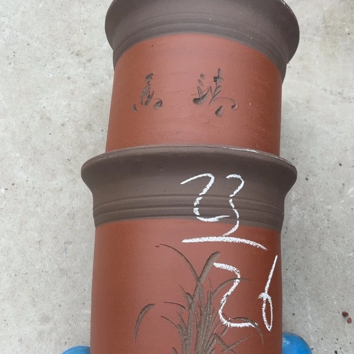 花盆紫砂紫砂的花