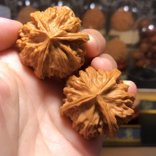 精品：岐山三棱全品