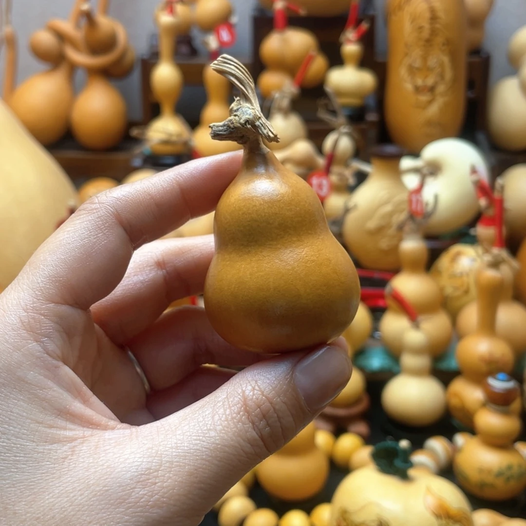 大自然的秘密第十一节你要做什么