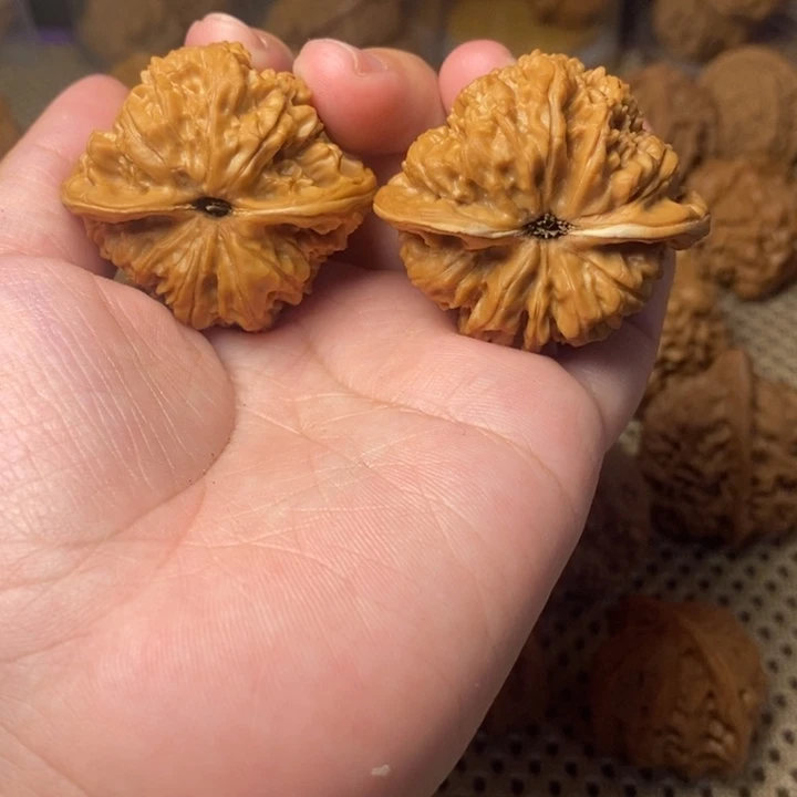 核桃手串/手链龙洞峪42全