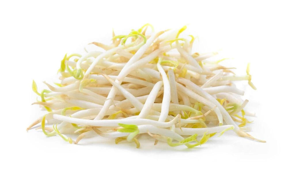 绿豆芽 约300g【立春热销】