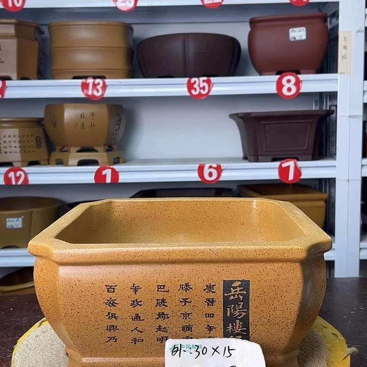 花盆紫砂你在一起