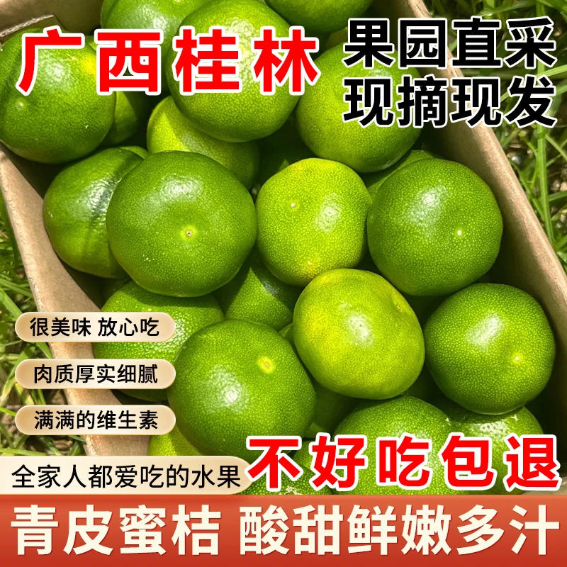早柑无籽水果新鲜产地应季现摘酸甜柑子整箱果子广西青皮橘子包邮