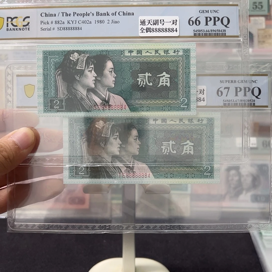 8002恐龙七挂一88888884