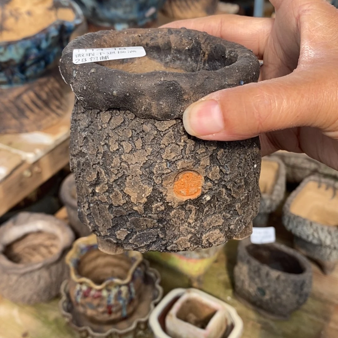 独***闲18号多肉盆口径7高9