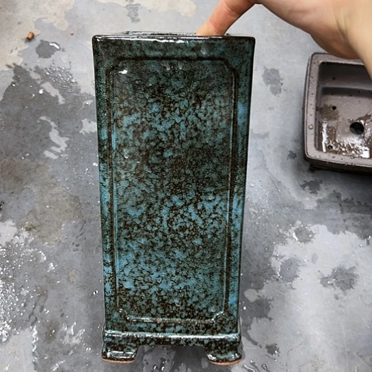 紫砂花盆中放的有木