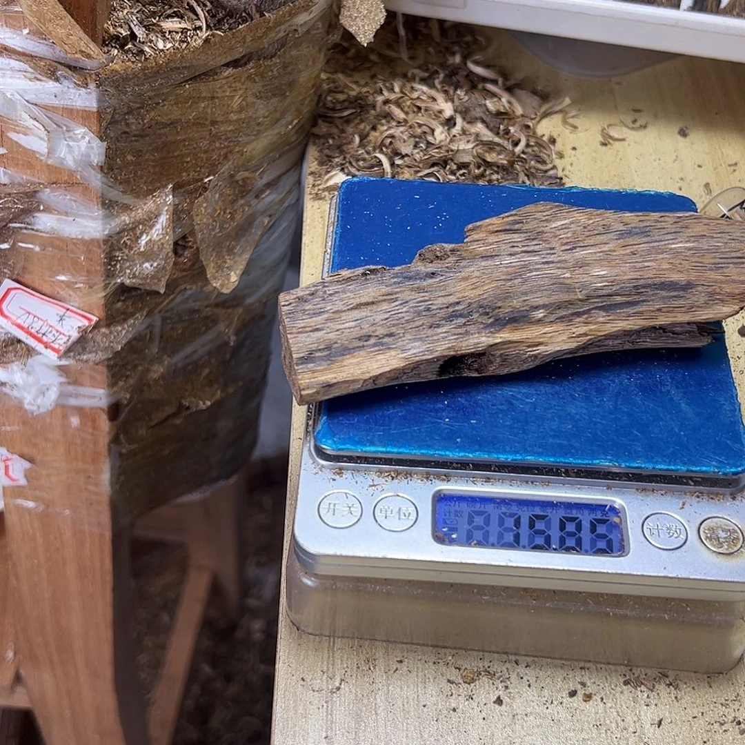 香料绿奇楠虫漏15克乌身