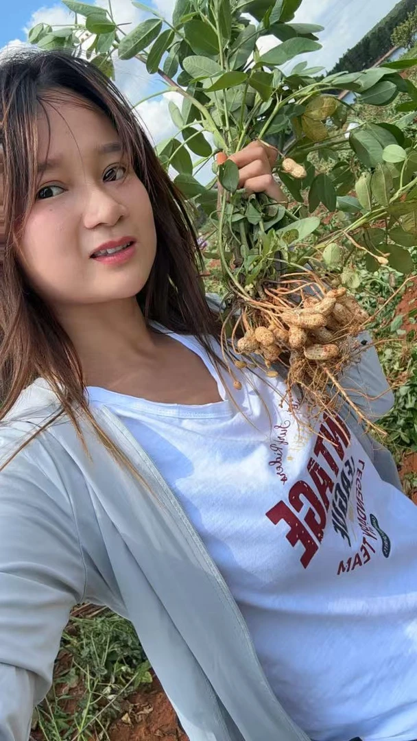 【顺丰包邮】江西农家自种本地花生现摘现发新鲜湿花生