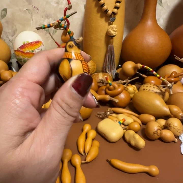 星***护精品课程等课程体系及相关