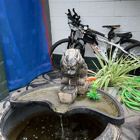 香榧木流水流水流水