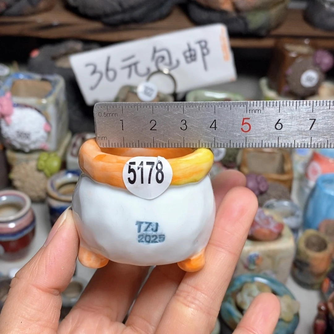 拍3送一个小礼物