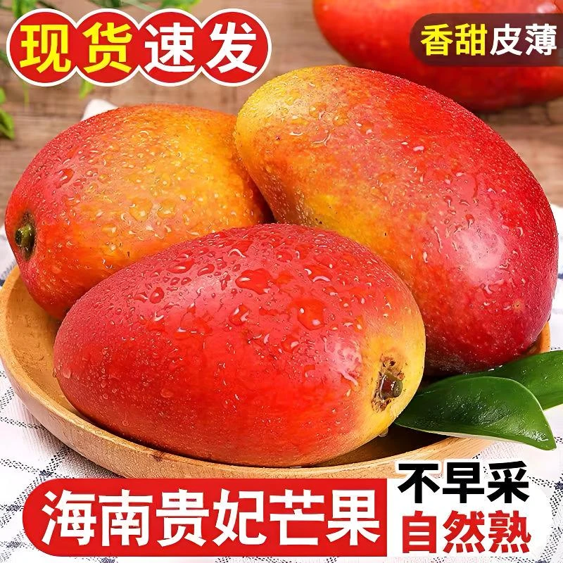 【贵妃芒果】海南三亚正宗树上熟贵妃芒果新鲜当季孕妇水果现摘现发