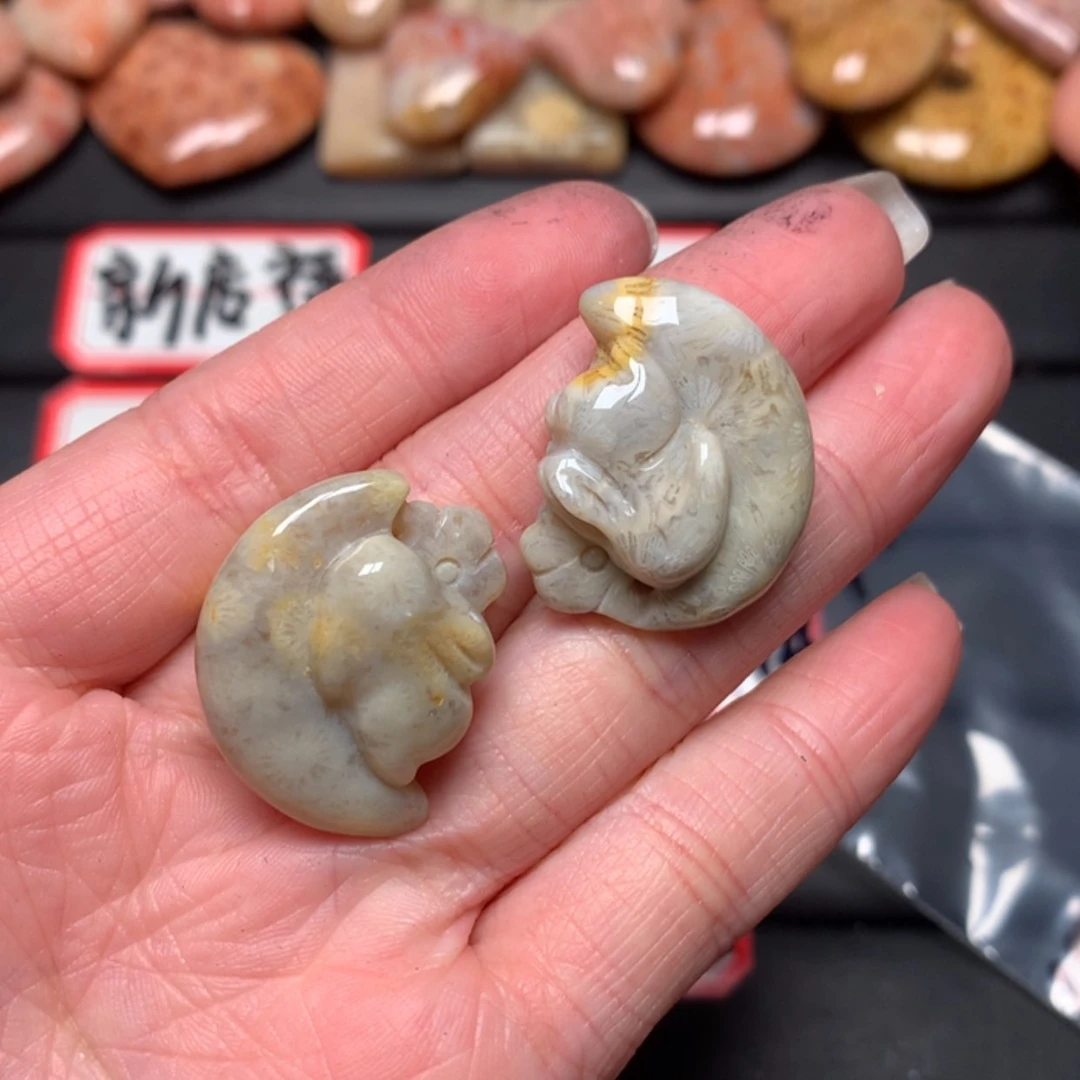 【闪购商品】硅化玉颈饰未镶嵌茶*子