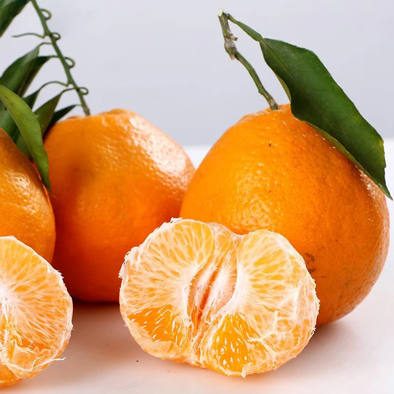 鹭鲜生精品四川春见耙耙柑