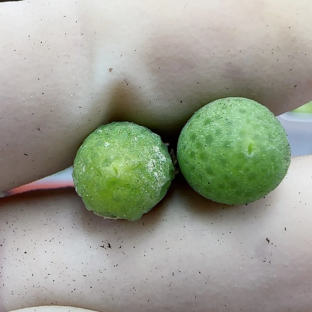 358恐龙蛋福利福利