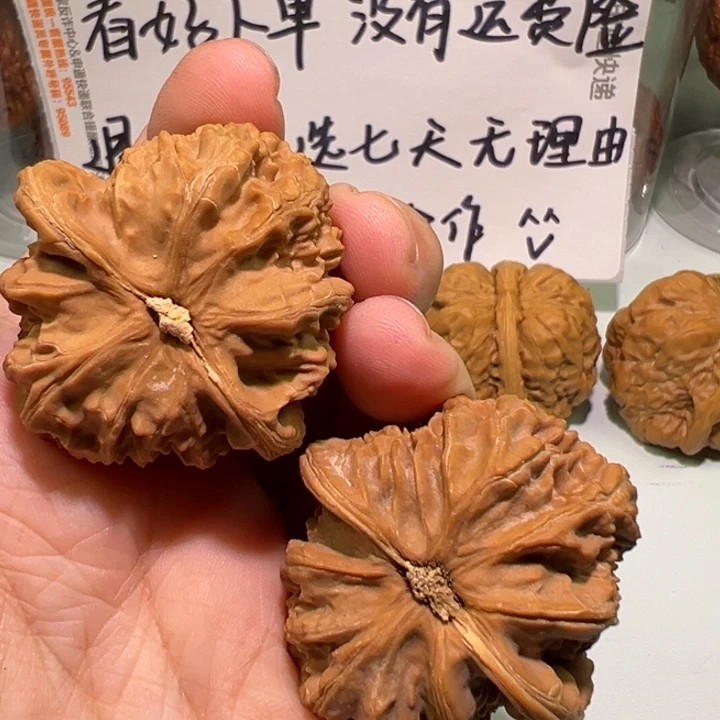 大***图文玩核桃把件40白狮子