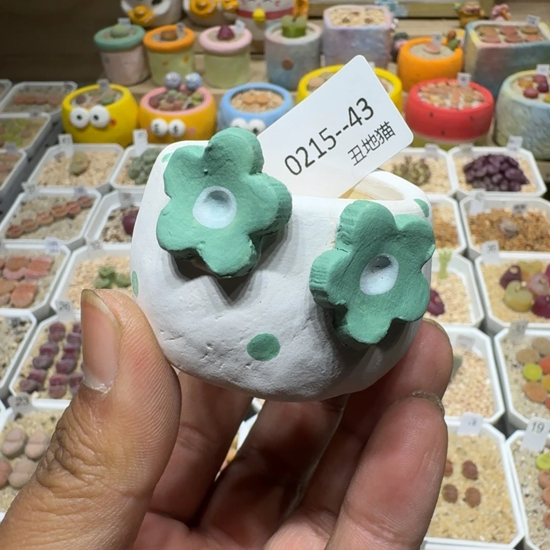 红陶资***包0215-043