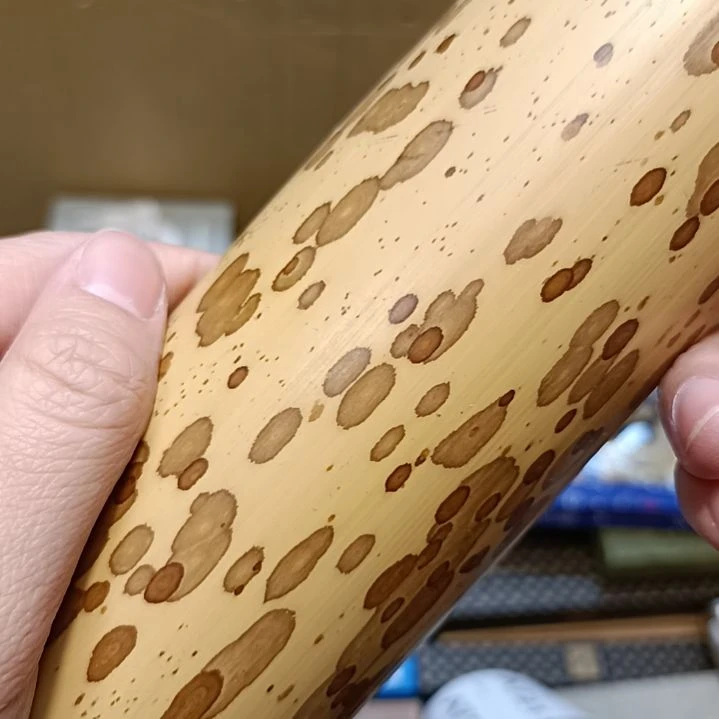 瓷片H*瓷器瓷器瓷器瓷器瓷器瓷器瓷器