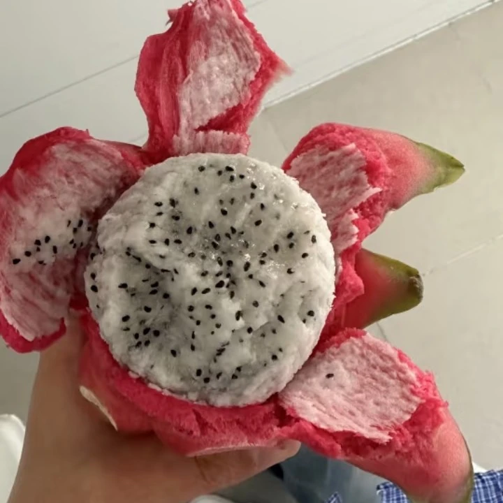 白心火龙果一枚