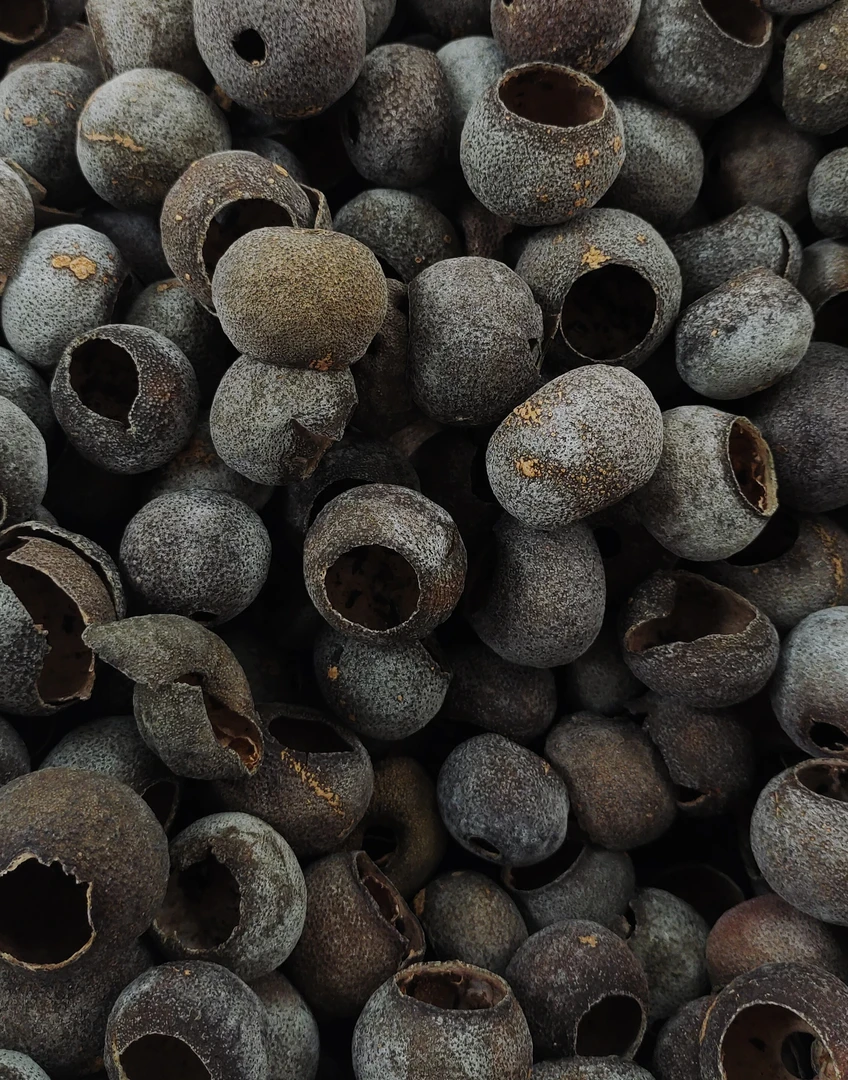 2018年新会南坦小柑皮陈皮