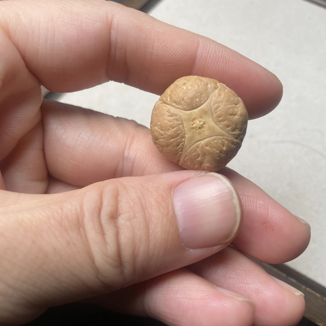 四星麒麟眼打孔不退换14mm-20mm三通尼泊尔四星