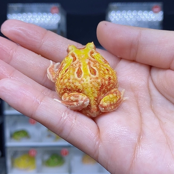 特价秒杀现货特价