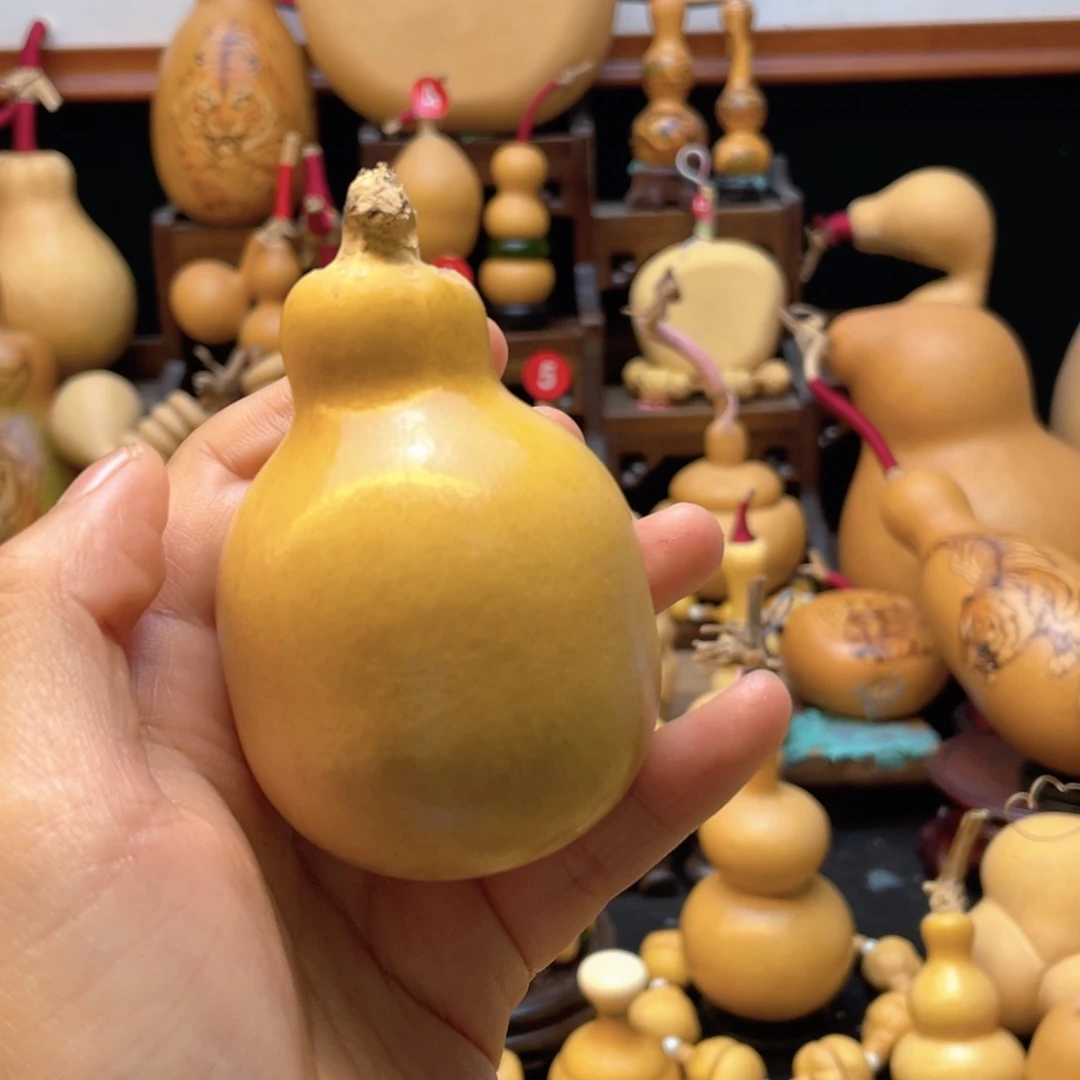 笑**看大自然的秘密第十一节的故事