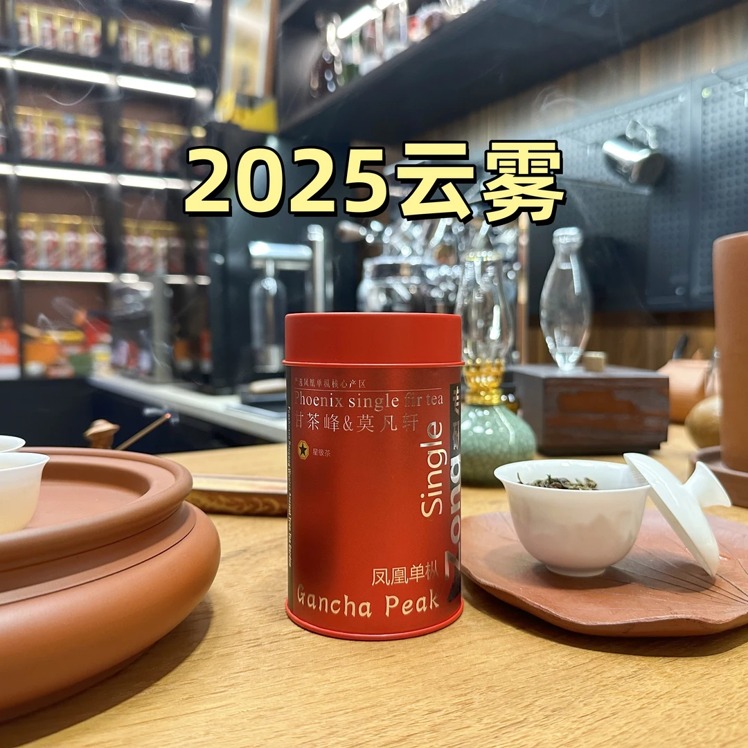 甘茶峰&莫凡轩甄选【2025云雾】潮州凤凰单丛茶  50G 罐装