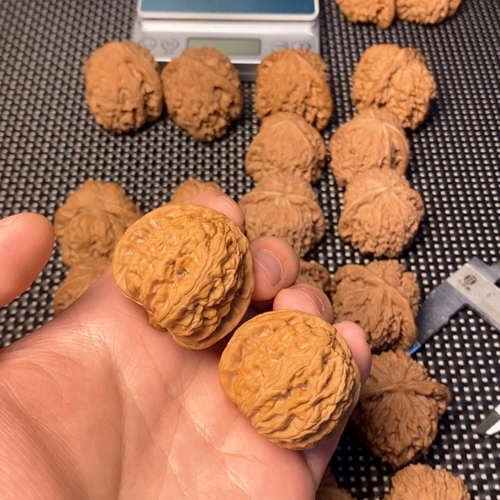 文玩核桃把件天****）40白狮子39尺