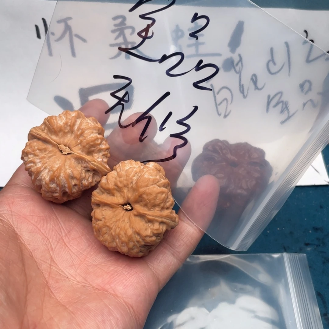 核桃W4797947997794479947974