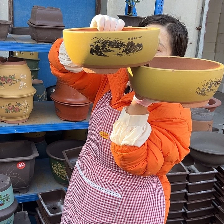 黄色江山如画中一对花盆花盆