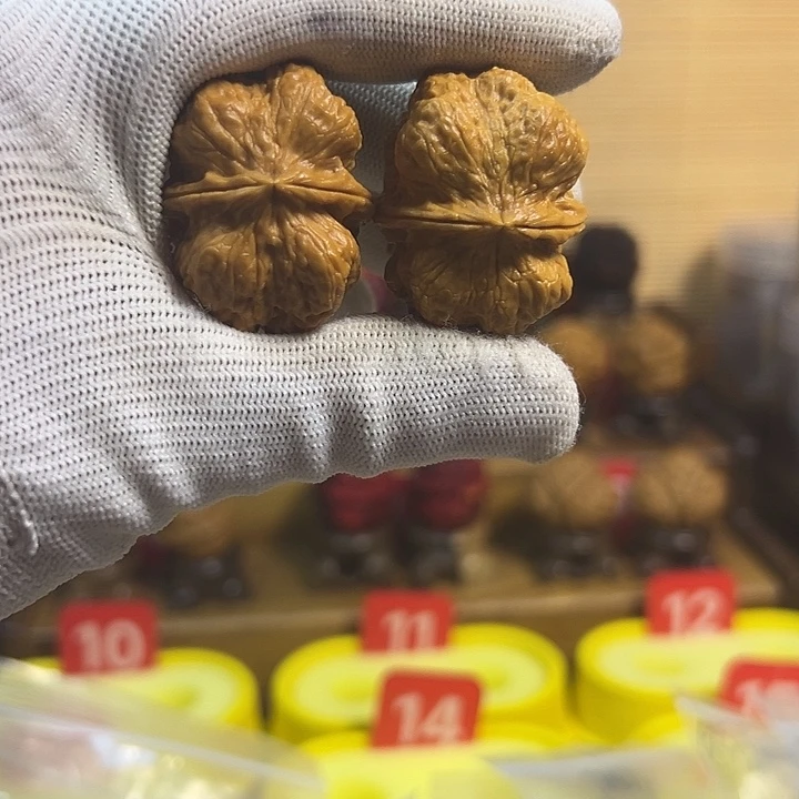 吊坠文玩核桃霸王龙脊