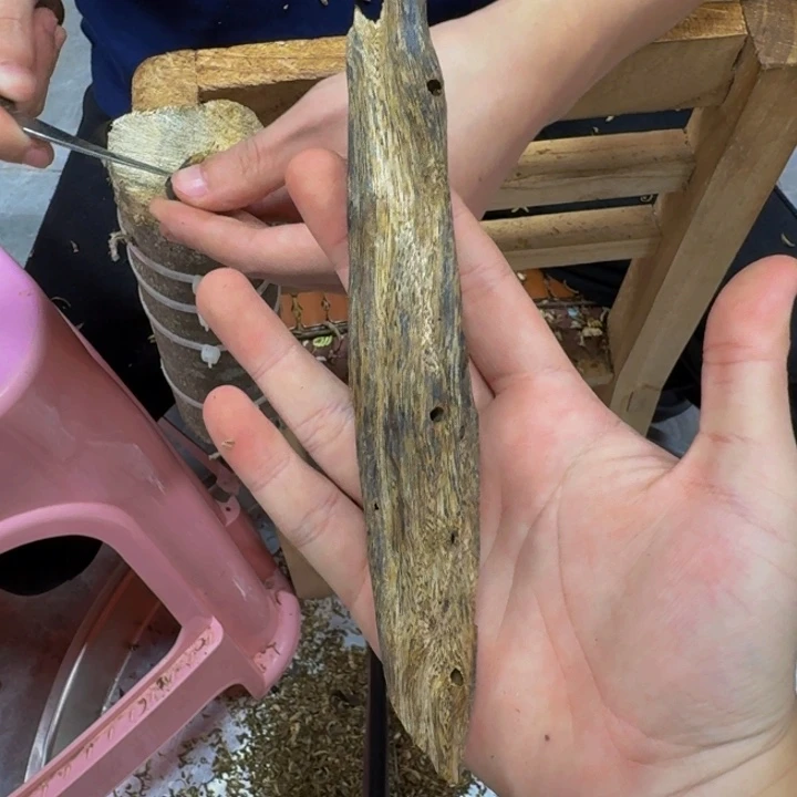 沉香碎屑沉香奇楠沉香30克