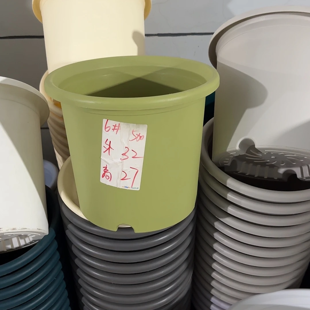 微瑕6号无托，果绿7个