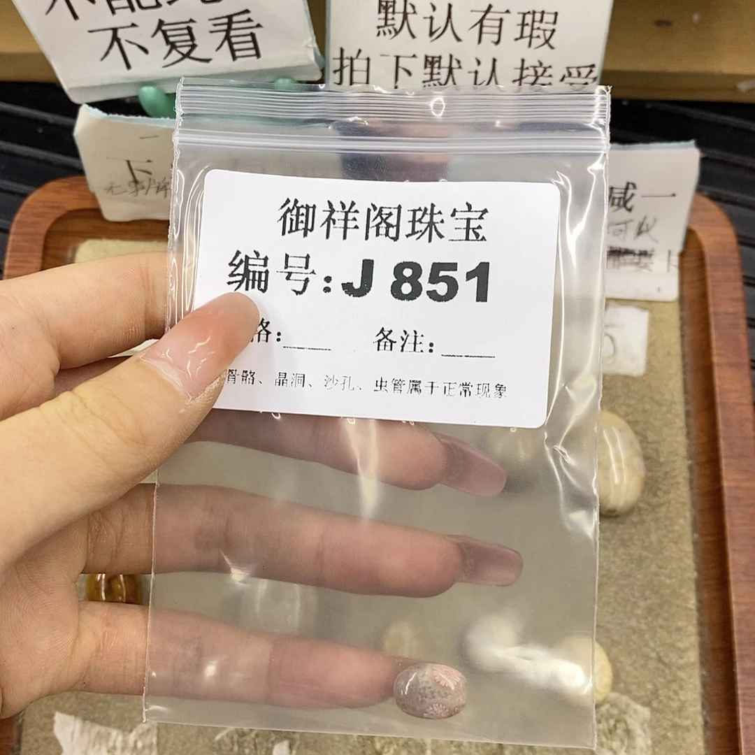 硅化珊瑚（珊瑚玉）未镶嵌颈饰D****?