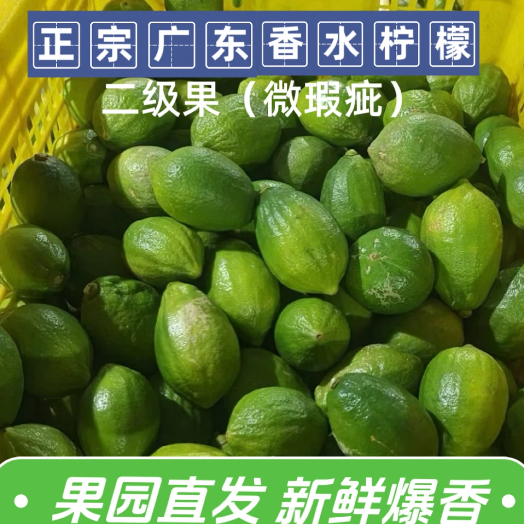 正宗广东香水柠檬新鲜无籽爆香多汁二级柠檬当季水果青柠顺丰包邮