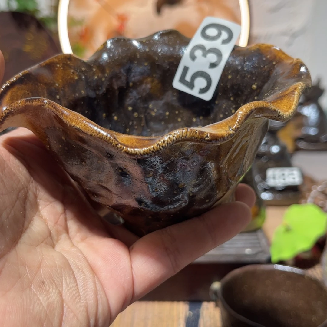 木村信弘柴烧保平