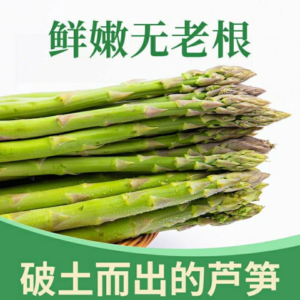 （顺丰发货）农家自种蔬菜绿芦笋去除老根芦笋龙须菜嫩笋青笋包邮