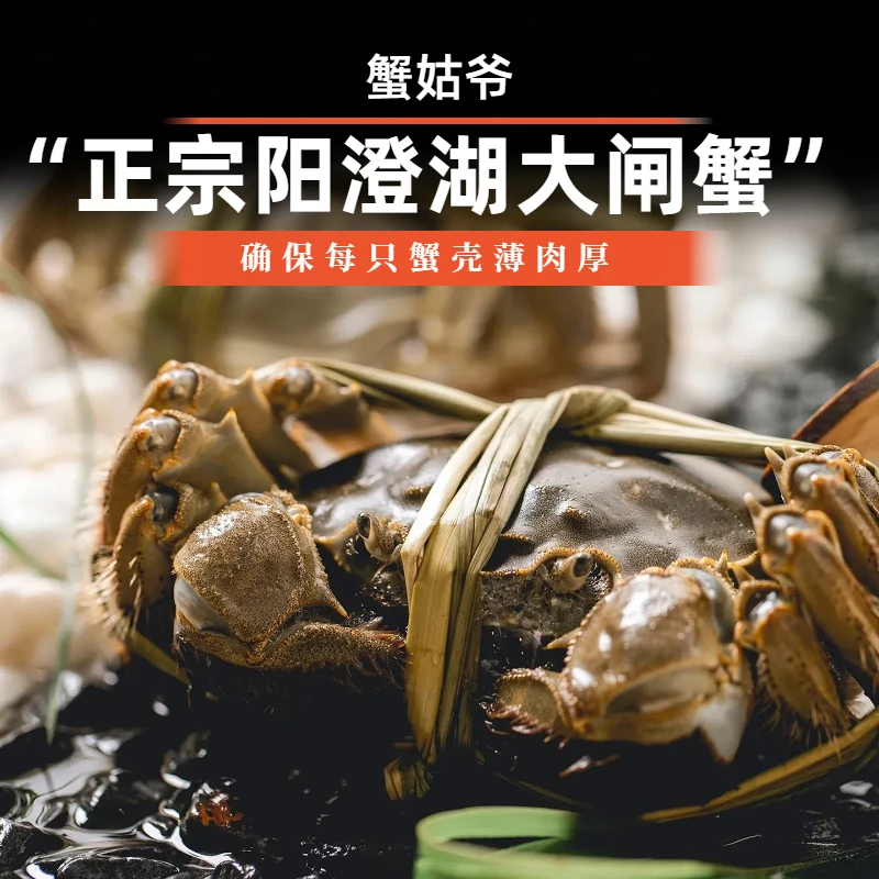 【活蟹】蟹姑爷精品阳澄湖大闸蟹全母3.5两6/8/10只礼盒装塘养-Z