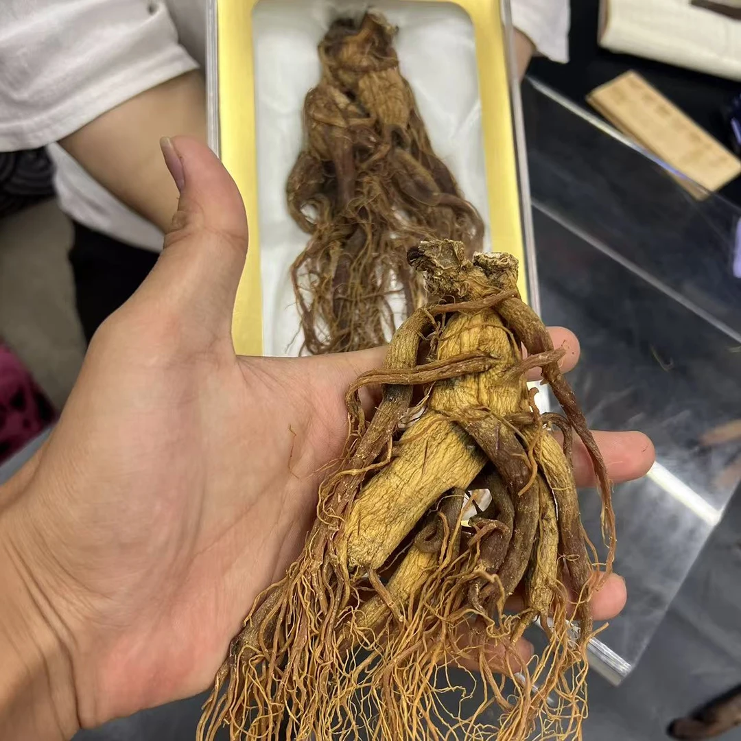（直播）礼盒  整条高丽参