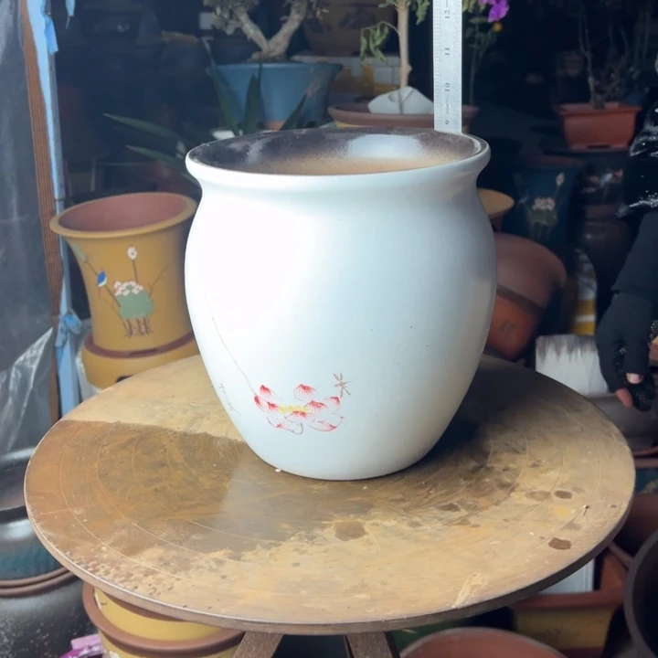 紫砂华欧hhhh姐姐85