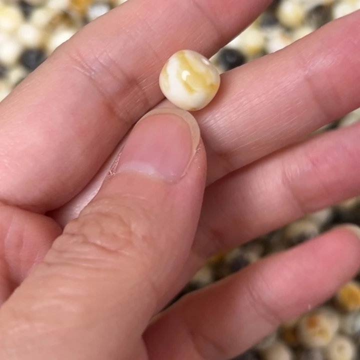 蜜蜡未镶嵌裸石9.4mm一个