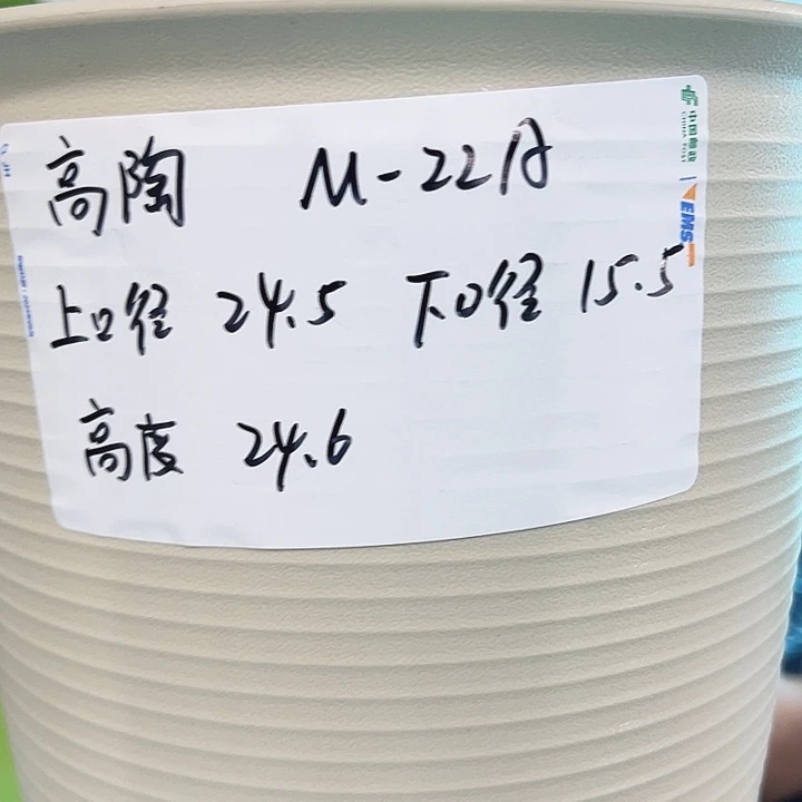 正品高陶口24高24米色无托5只
