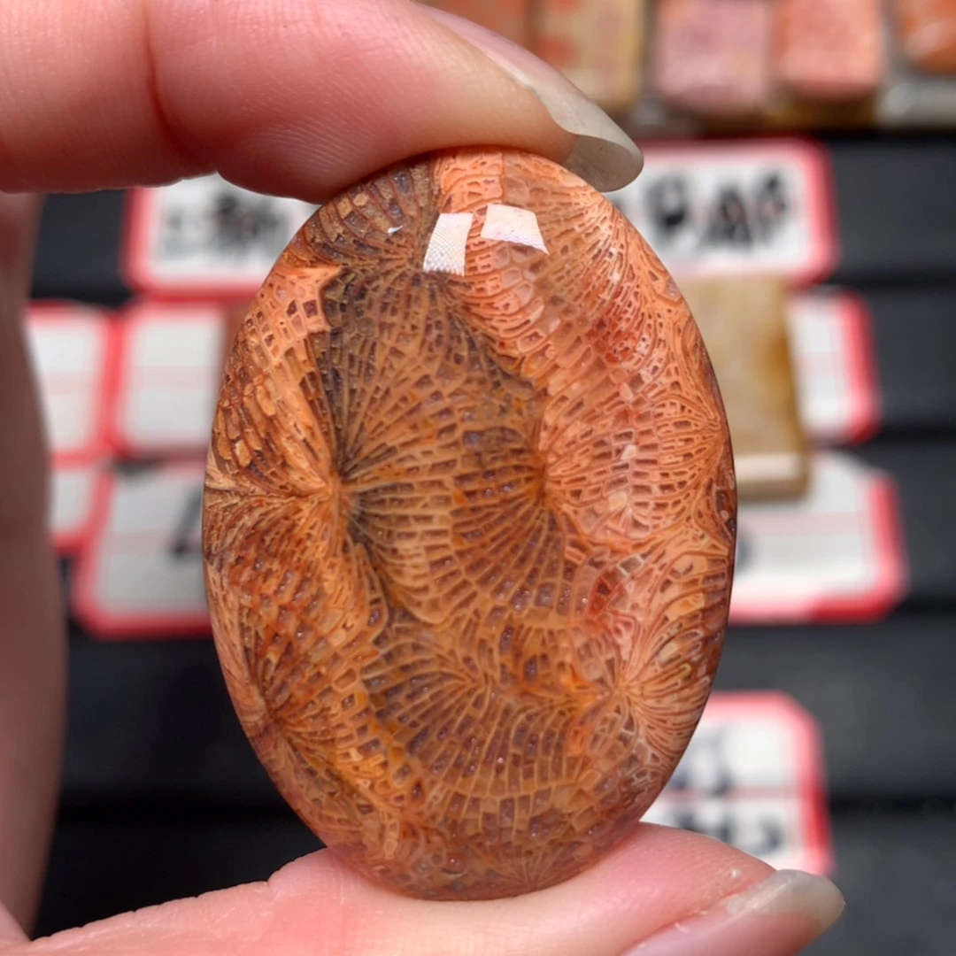 【闪购商品】未镶嵌颈饰硅化玉堇***y
