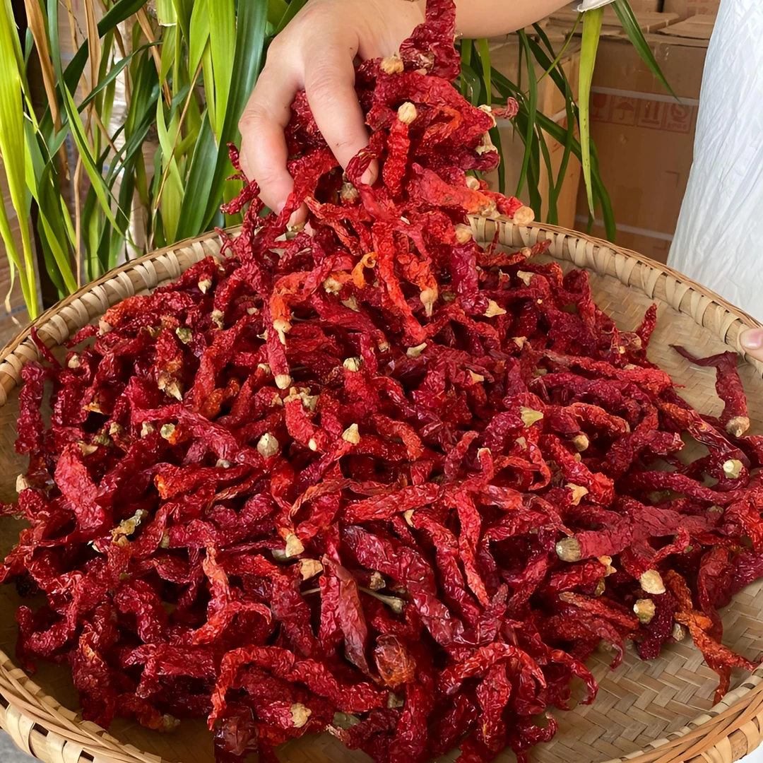 皱皮干辣椒半斤1斤二荆条S