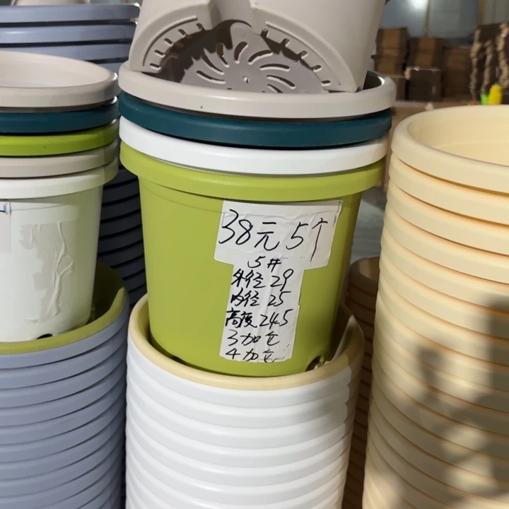 四季5#口径29无托果绿10个