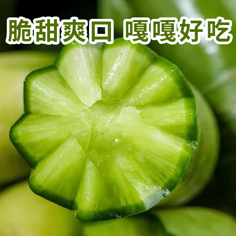 水果萝卜青萝卜去皮脆甜多汁微微辣3斤/份