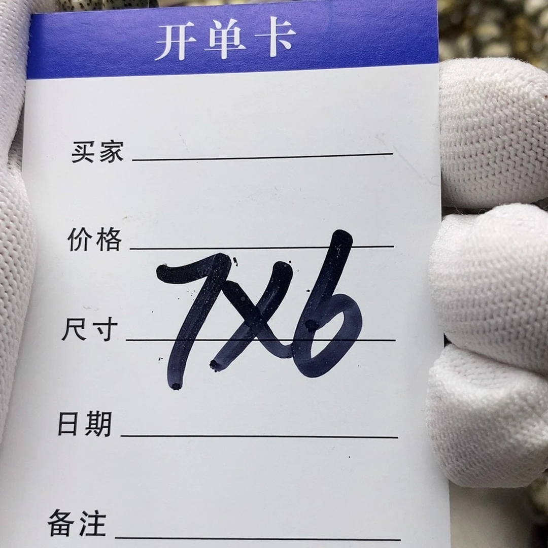 T***Y星月菩提吊坠海南原生态星月菩提